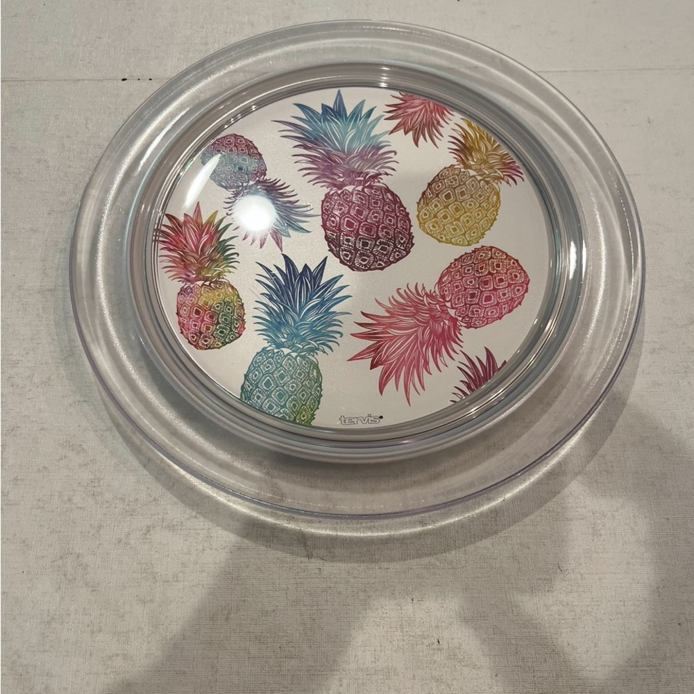 Tervis Colorful Pineapple plastic/ rubber Plate. GUC!
